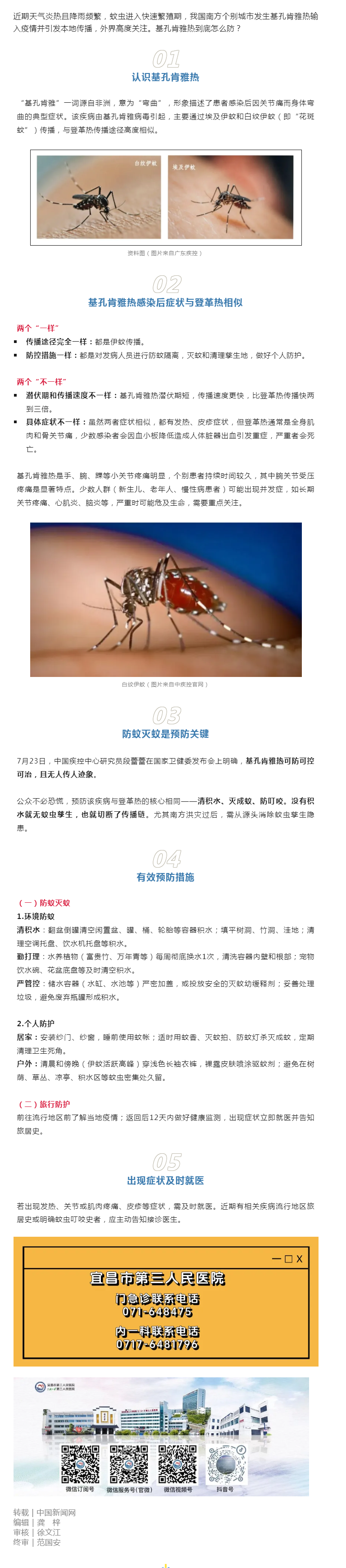 基孔肯雅热，到底怎么防？.png